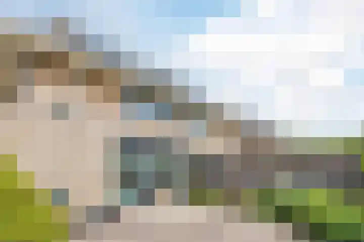 Sellingerbos 11 Purmerend thumbnail 48
