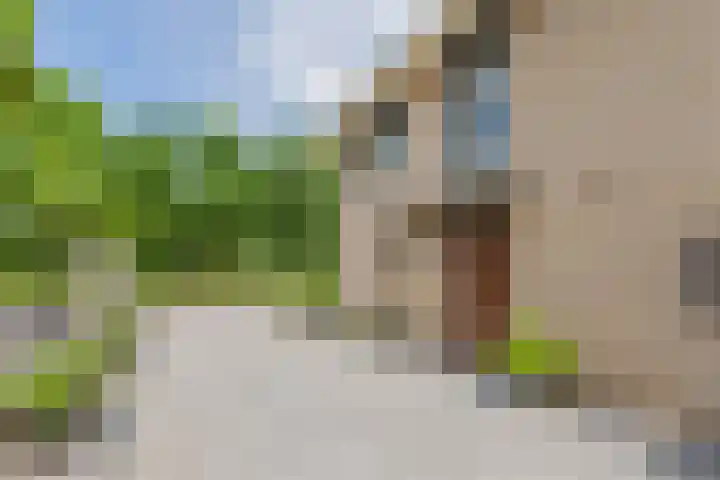 Sellingerbos 11 Purmerend thumbnail 5