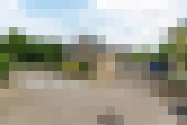 Sellingerbos 11 Purmerend thumbnail 50
