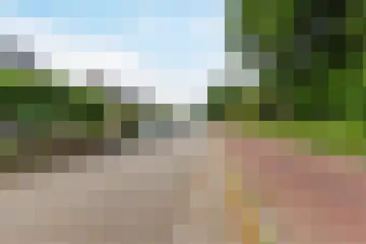 Sellingerbos 11 Purmerend thumbnail 51