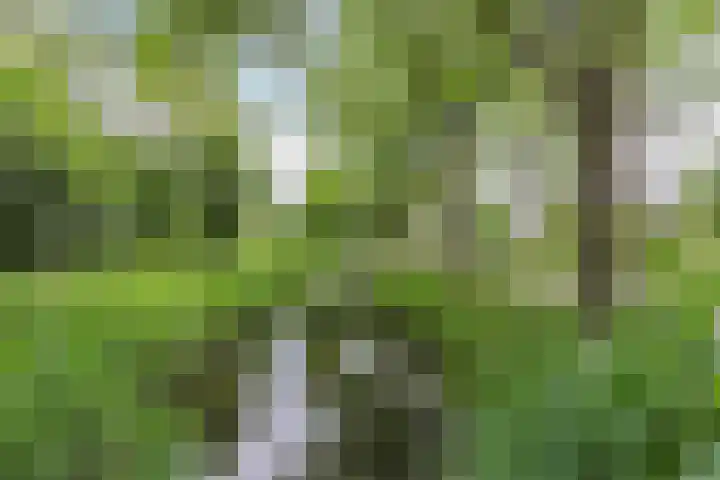 Sellingerbos 11 Purmerend thumbnail 54