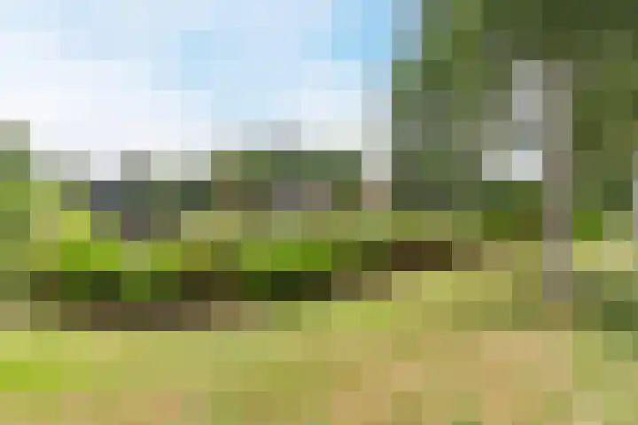 Sellingerbos 11 Purmerend thumbnail 55