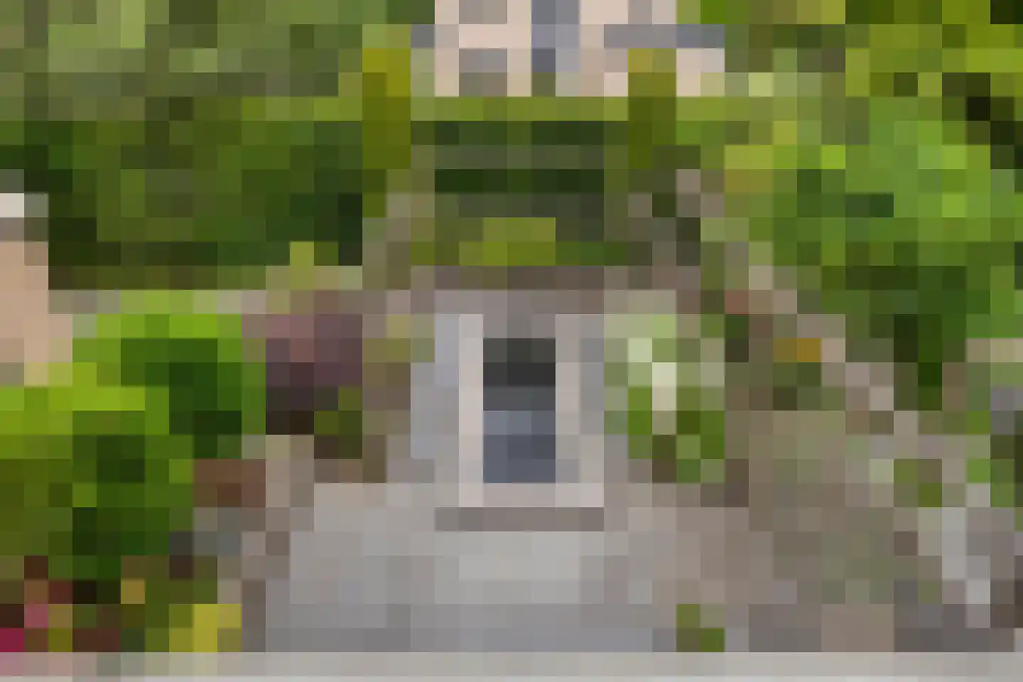 Sellingerbos 13 Purmerend thumbnail 4