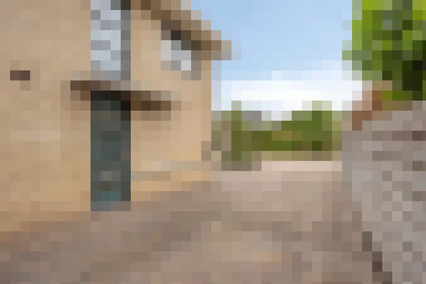 Sellingerbos 13 Purmerend thumbnail 8