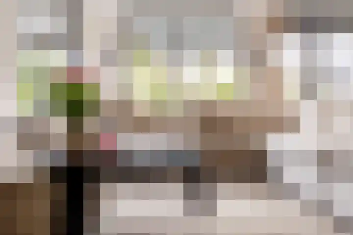 Sellingerbos 21 Purmerend thumbnail 17