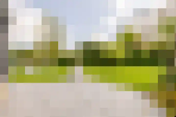 Sellingerbos 21 Purmerend thumbnail 40