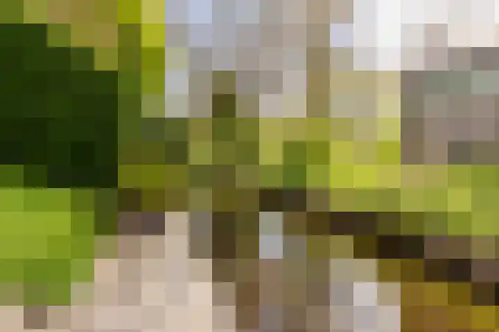 Sellingerbos 21 Purmerend thumbnail 43