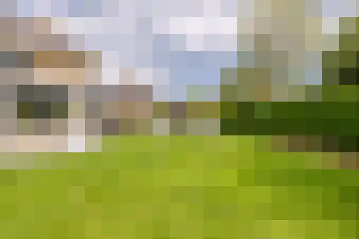 Sellingerbos 21 Purmerend thumbnail 44