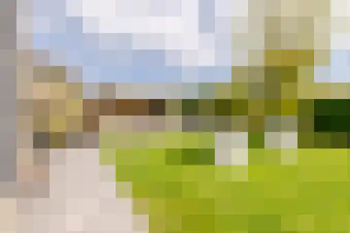 Sellingerbos 21 Purmerend thumbnail 47
