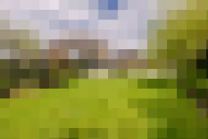 Sellingerbos 21 Purmerend thumbnail 5