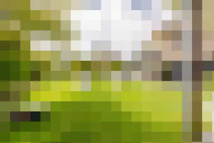 Sellingerbos 21 Purmerend thumbnail 53
