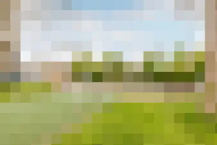 Sellingerbos 21 Purmerend thumbnail 61