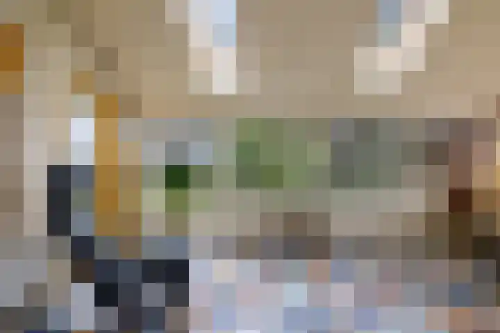 Sellingerstraat 21 Ter Apel thumbnail 13