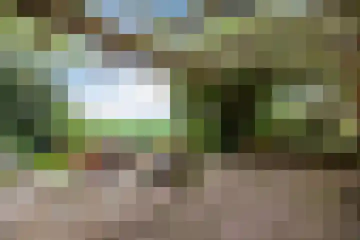 Sellingerstraat 21 Ter Apel thumbnail 20