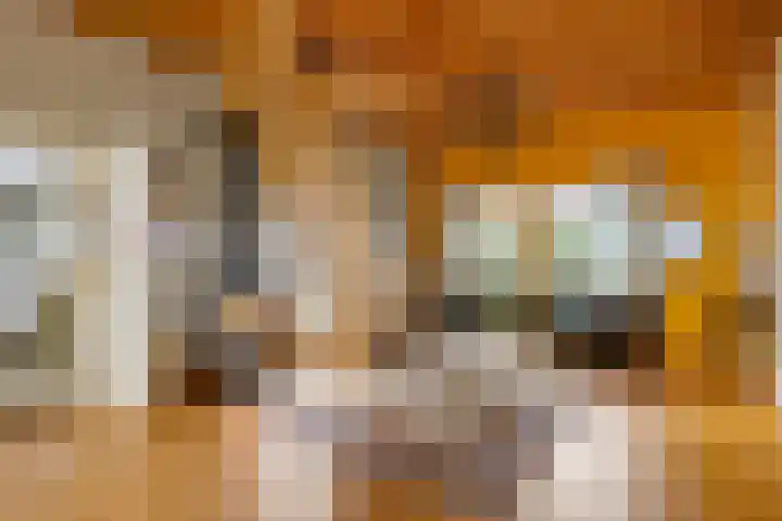 Sellingerstraat 21 Ter Apel thumbnail 21