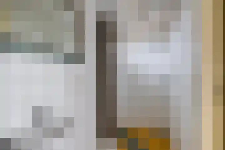 Sellingerstraat 21 Ter Apel thumbnail 27
