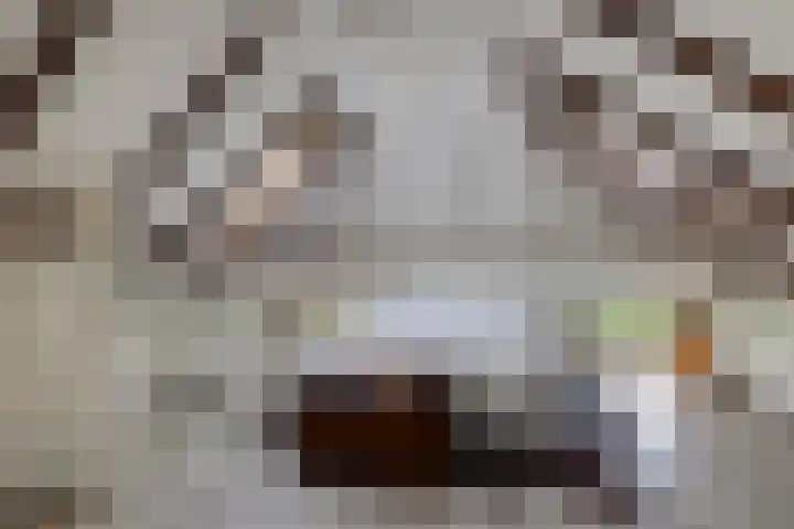 Sellingerstraat 21 Ter Apel thumbnail 34