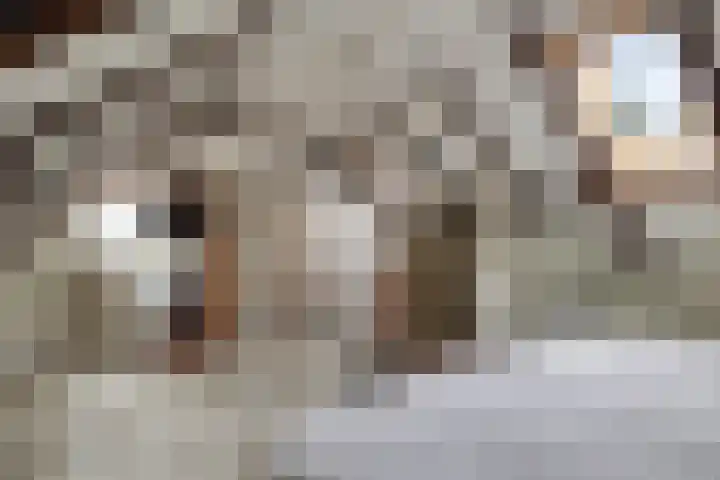 Sellingerstraat 21 Ter Apel thumbnail 35