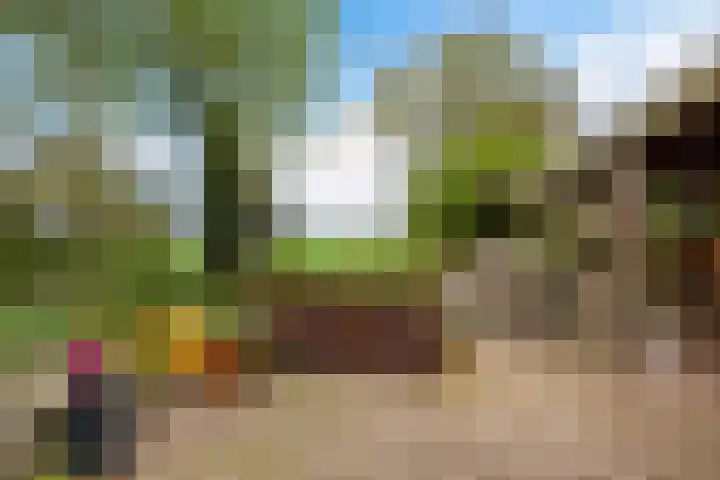 Sellingerstraat 21 Ter Apel thumbnail 38