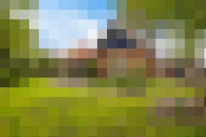 Sellingerstraat 21 Ter Apel thumbnail 39