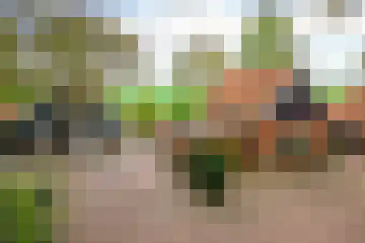 Sellingerstraat 21 Ter Apel thumbnail 4