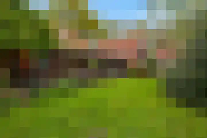 Sellingerstraat 21 Ter Apel thumbnail 43