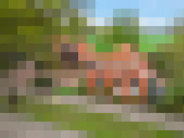 Sellingerstraat 21 Ter Apel thumbnail 55