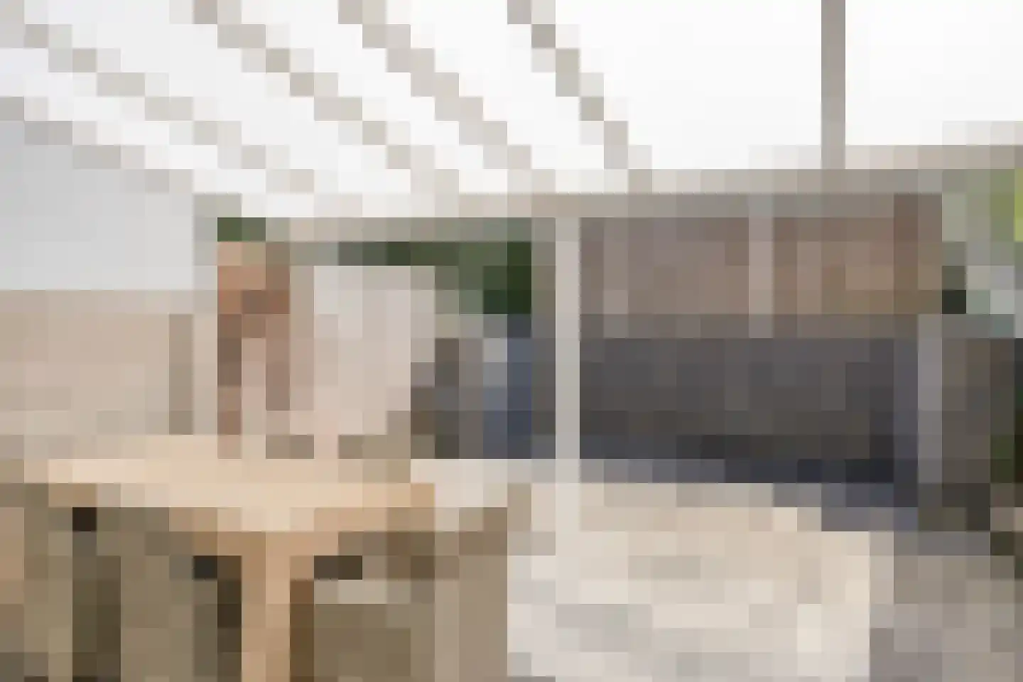 Selma Kuijpersstraat 11 Landgraaf thumbnail 20