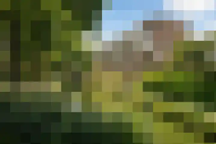 Selma Lagerlöf-erf 161 Dordrecht thumbnail 33