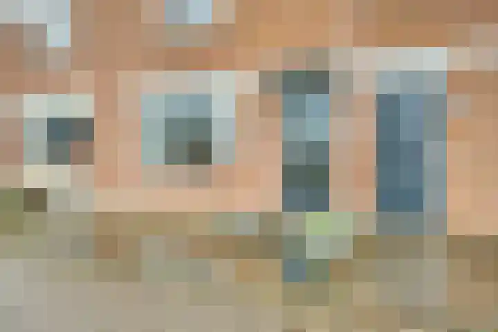 Selma Lagerlöf-erf 183 Dordrecht thumbnail 6