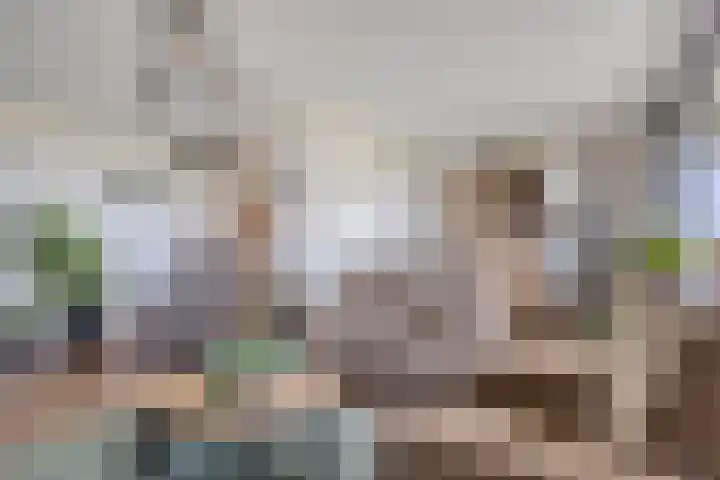 Selma Lagerlöfstraat 18 Spijkenisse thumbnail 10