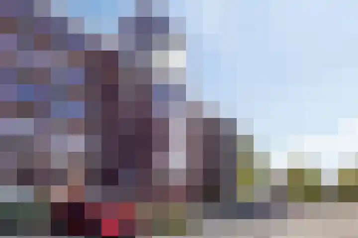 Selma Lagerlöfstraat 18 Spijkenisse thumbnail 5