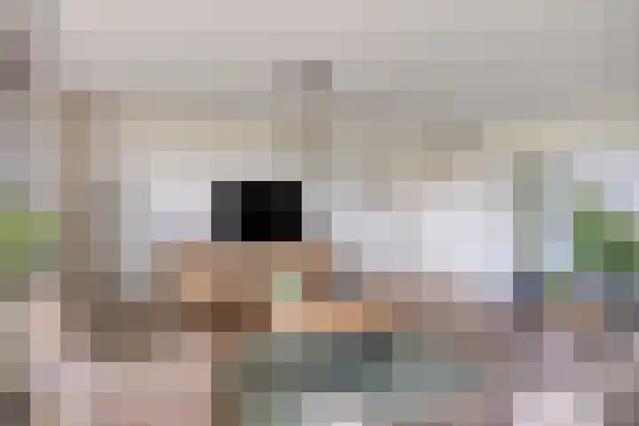Selma Lagerlöfstraat 18 Spijkenisse thumbnail 9