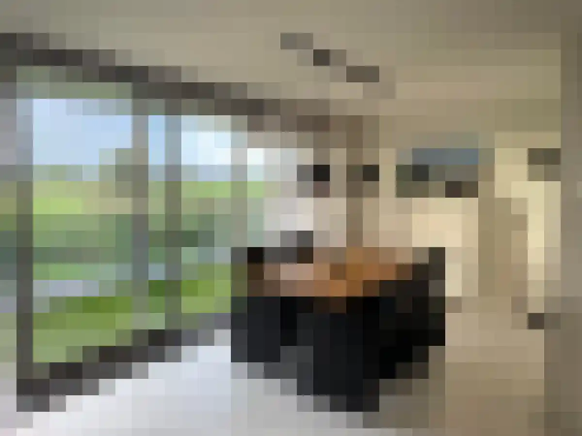 Selma Lagerlöfstraat 76 Spijkenisse thumbnail 4