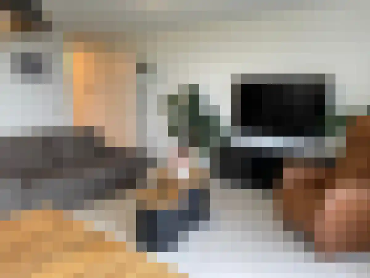 Selma Lagerlöfstraat 76 Spijkenisse thumbnail 5