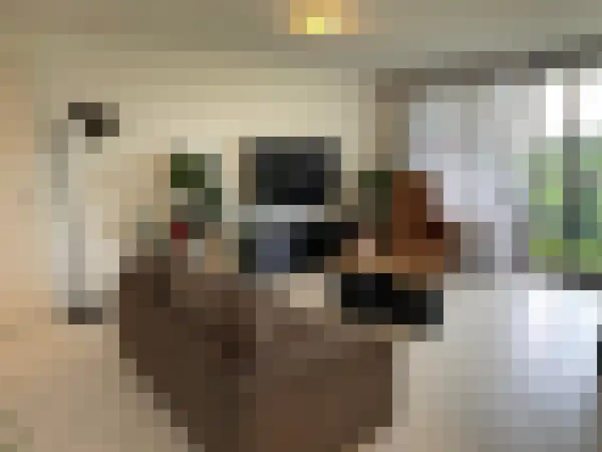 Selma Lagerlöfstraat 76 Spijkenisse thumbnail 6
