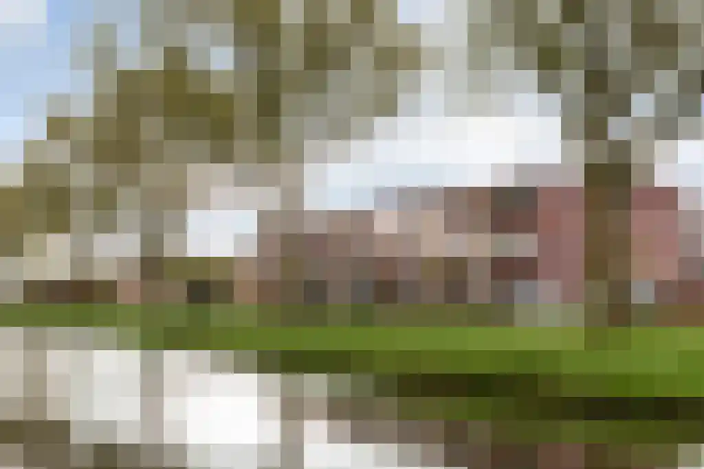 Selma Lagerlöfweg 102 Woerden thumbnail 41