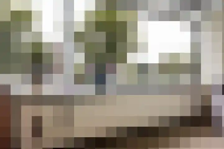 Selma Lagerlöfweg 98 Woerden thumbnail 8