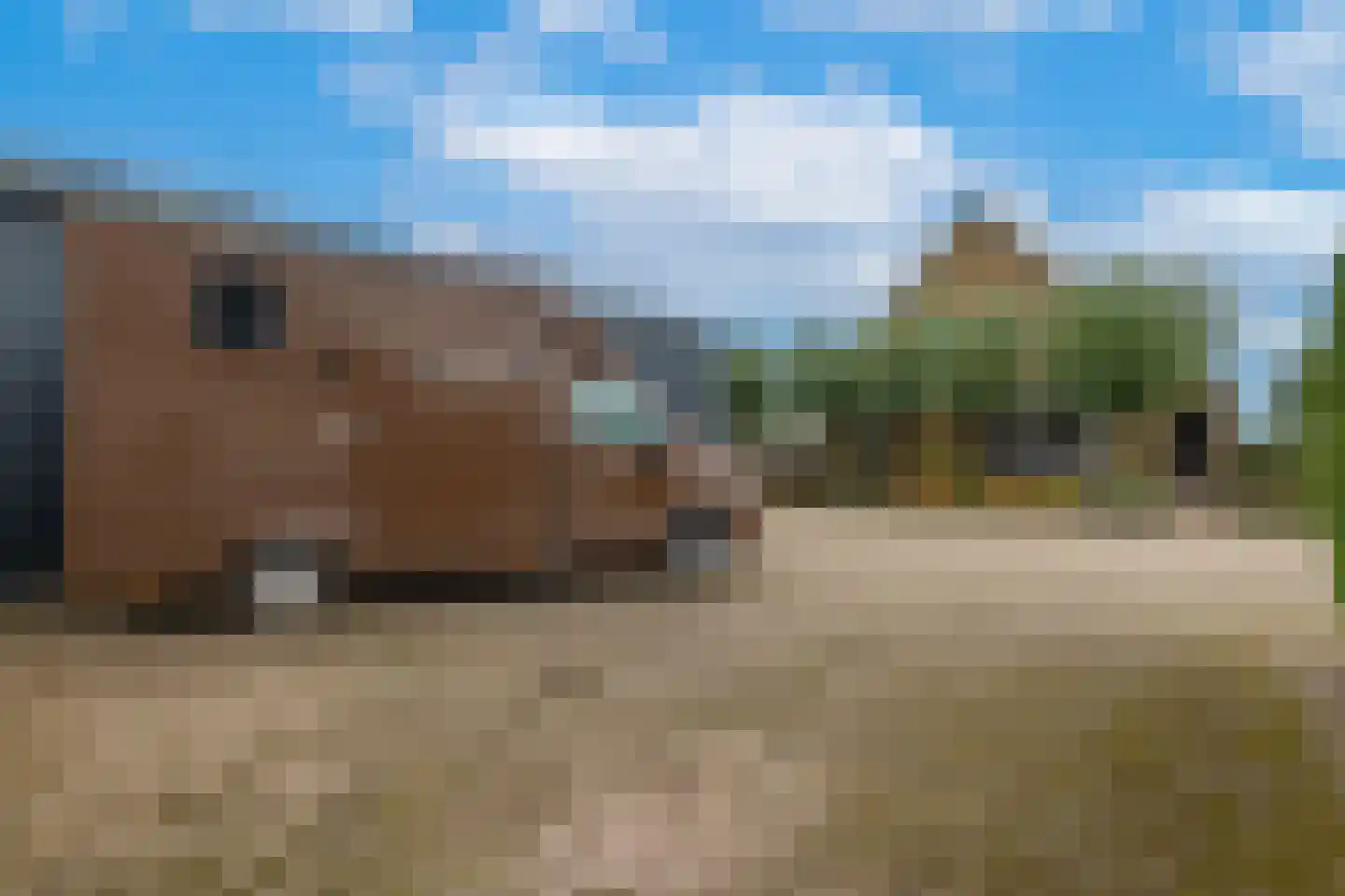 Selschardijk 16 Sint Maarten thumbnail 8