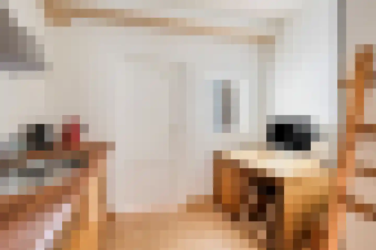 Selschardijk 6 Sint Maarten thumbnail 43