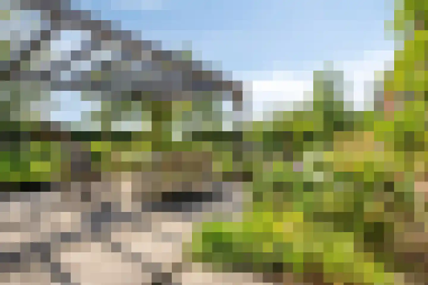 Selschardijk 6 Sint Maarten thumbnail 52