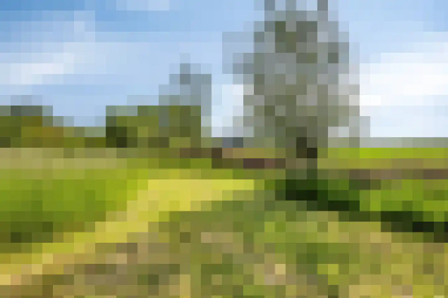 Selschardijk 6 Sint Maarten thumbnail 66