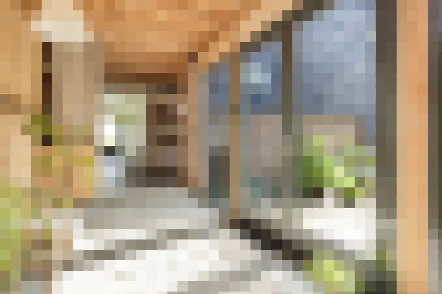 Selschardijk 6 Sint Maarten thumbnail 9