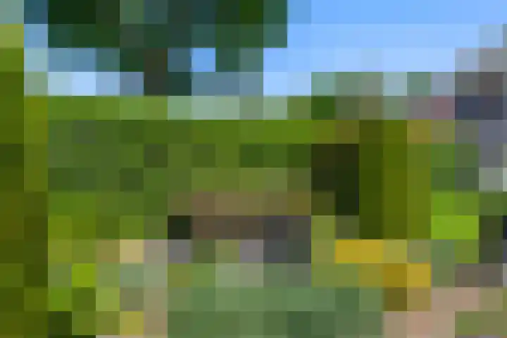 Seltershof 25 Bennekom thumbnail 14