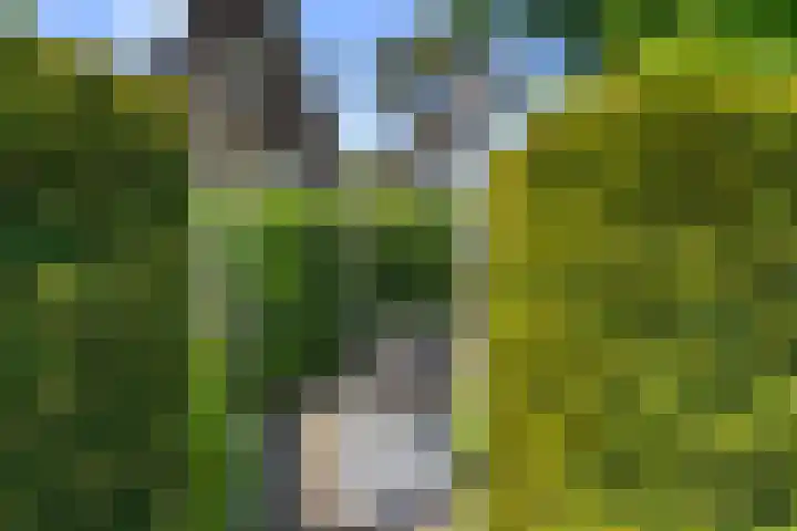 Seltershof 25 Bennekom thumbnail 16