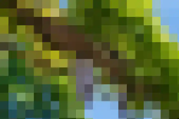 Seltershof 25 Bennekom thumbnail 17