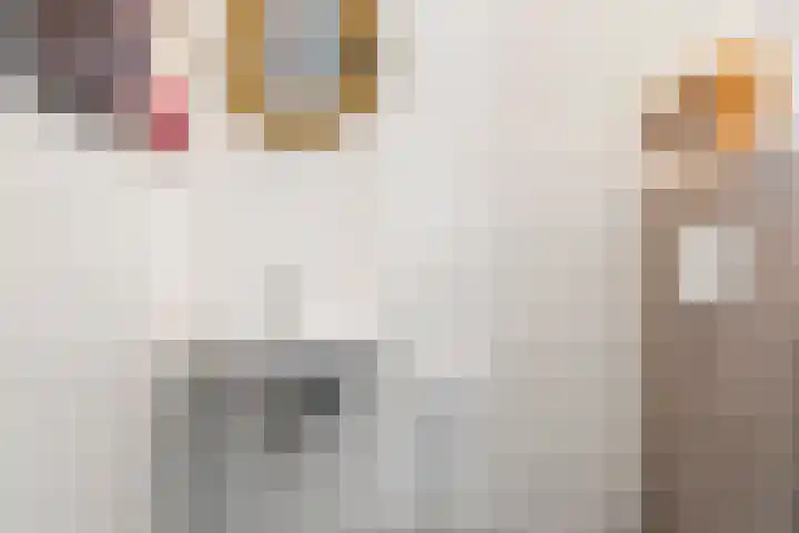 Seltershof 25 Bennekom thumbnail 20