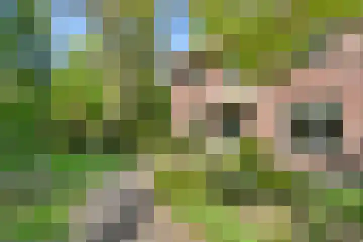 Selterskampweg 66 Bennekom thumbnail 30