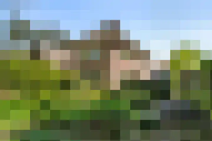 Selterskampweg 66 Bennekom thumbnail 31