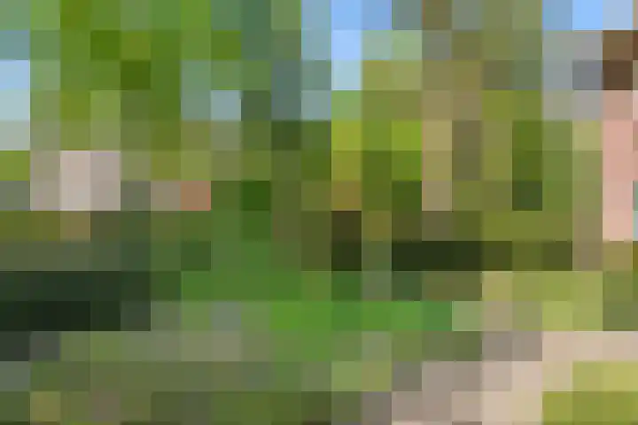 Selterskampweg 66 Bennekom thumbnail 32